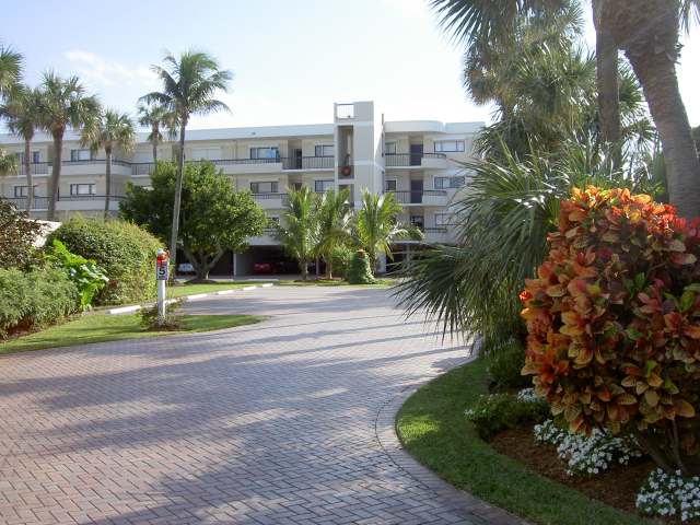 Entrance driveway with tropical landscaping